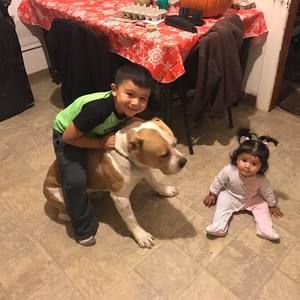 Meet your Posher, Ignaciomonica